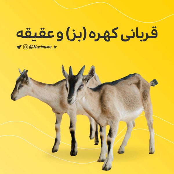 قربانی گوسفند در مناطق محروم